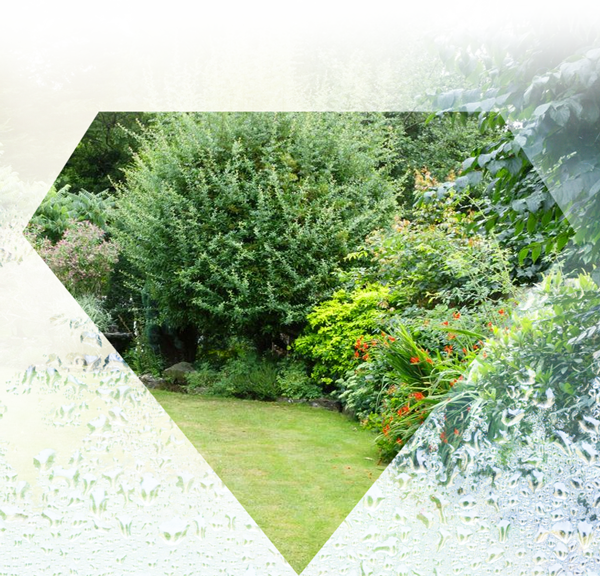 misted glass replacement